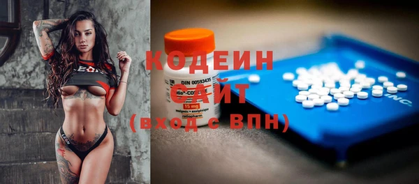 стаф Вяземский