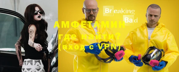 гидра Вязьма