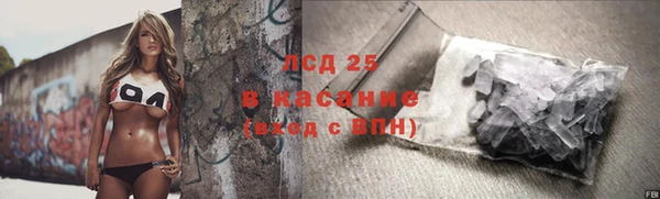 стаф Вяземский