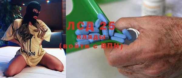 стаф Вяземский