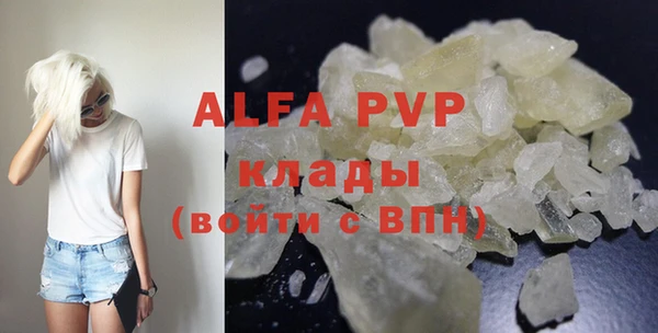 гидра Вязьма