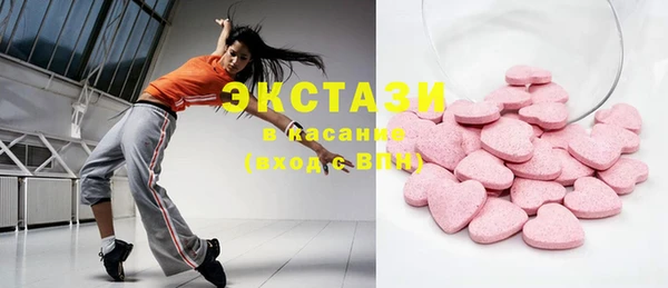 гидра Вязьма