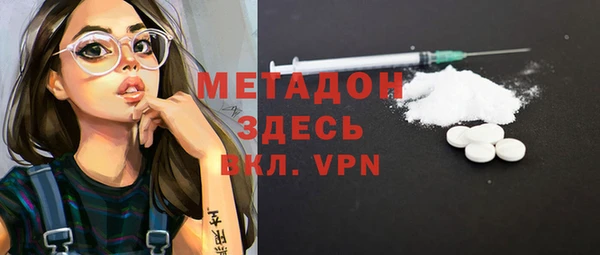 гидра Вязьма