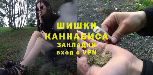 стаф Вяземский
