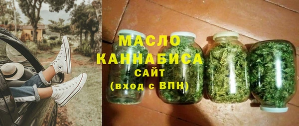 гидра Вязьма