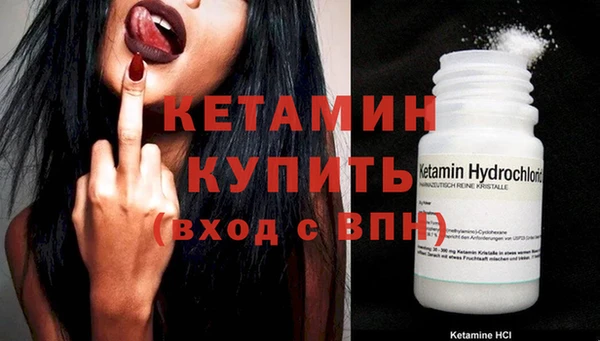 гидра Вязьма