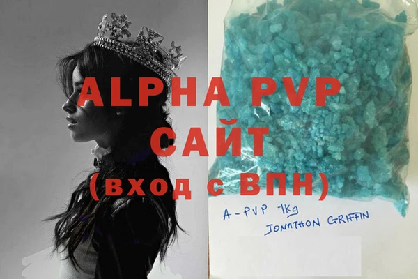 гидра Вязьма