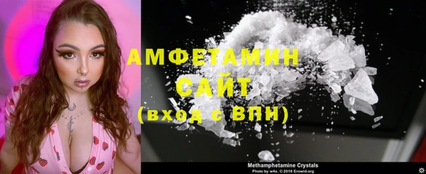 гидра Вязьма