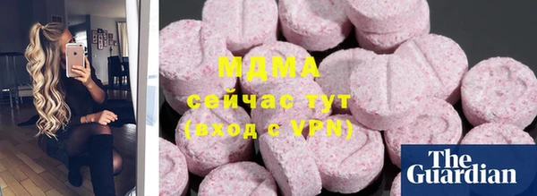 гидра Вязьма